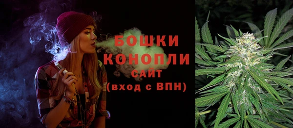 не бодяженный Осташков